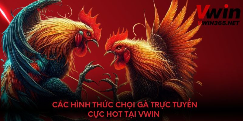 Các hình thức chọi gà trực tuyến cực hot tại Vwin