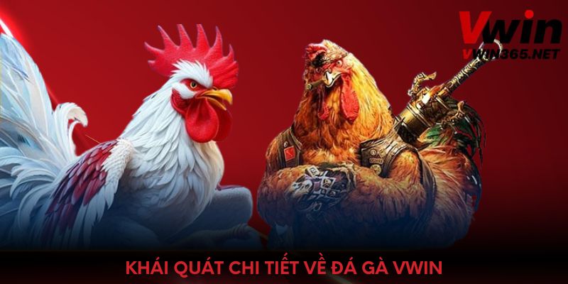 Khái quát chi tiết về đá gà Vwin