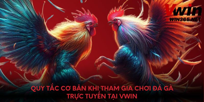 Quy tắc cơ bản khi tham gia chơi đá gà trực tuyến tại Vwin