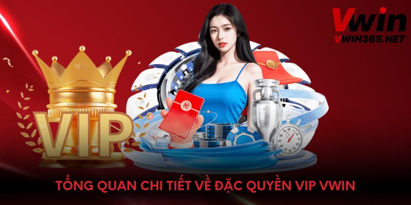 Tổng quan chi tiết về đặc quyền VIP Vwin